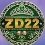 zd22 game logo