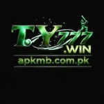 TY777 Game has risen to a level of popularity. Its user friendly interface and rapid account sign up are appreciated by many users. The site features several games in their genre, which can be played according to their tastes.