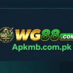 WG 88 Game is an online gaming platform which provides entertainment, promotions and also reward possibilities in one application.