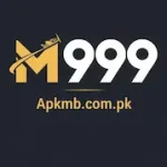 M999 Game provides an accessible way for Android users in Pakistan to enjoy a range of casual games in one place.