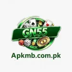 GN 55 Game offers a convenient way for Android users in Pakistan and elsewhere to enjoy a variety of casual mini-games in a single lightweight app.