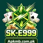 E999 Game offers a simple and accessible gaming experience for Pakistani users.